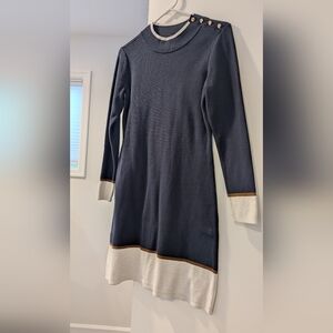 Ann Taylor Navy and Cream Dress